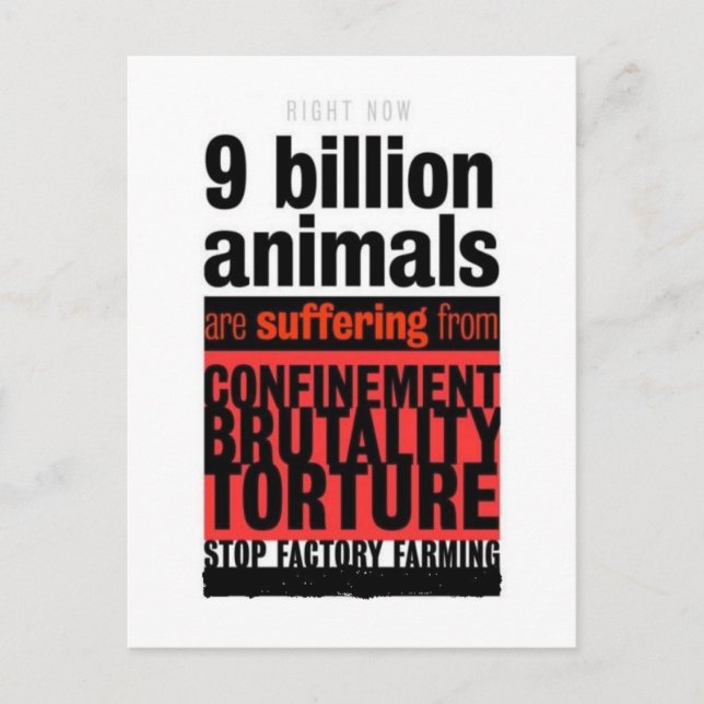 Their Suffering Postcard (Front)