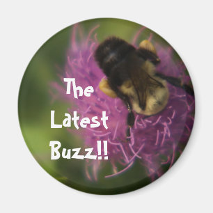 TheLatest Buzz!! Magnet