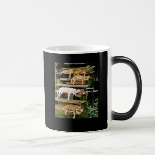 Them Dawgs! Magic Mug