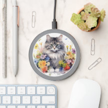 Thème de chat mignon, photo de votre animal de com