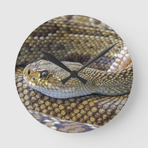 Thème serpent Acrylique Mur Horloge
