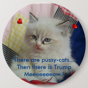 Then there is Trump 6 Inch Round Button