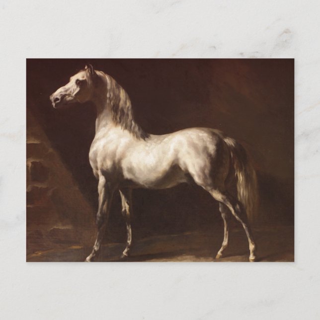 Theodore Gericault Vintage Grey Horse Postcard (Front)