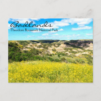 Theodore Roosevelt Badlands, carte postale ND