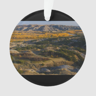 Theodore Roosevelt National Park Ornament