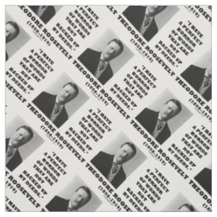 Theodore Roosevelt Perfect Horror Words Deeds Fabric