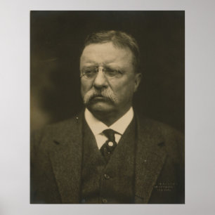 Theodore Roosevelt Portrait by the Pach Brothers Poster