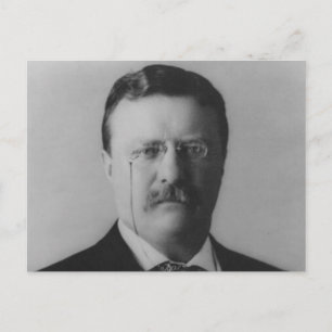 Theodore Roosevelt Portrait Postcard