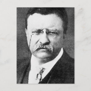 Theodore Roosevelt Postcard