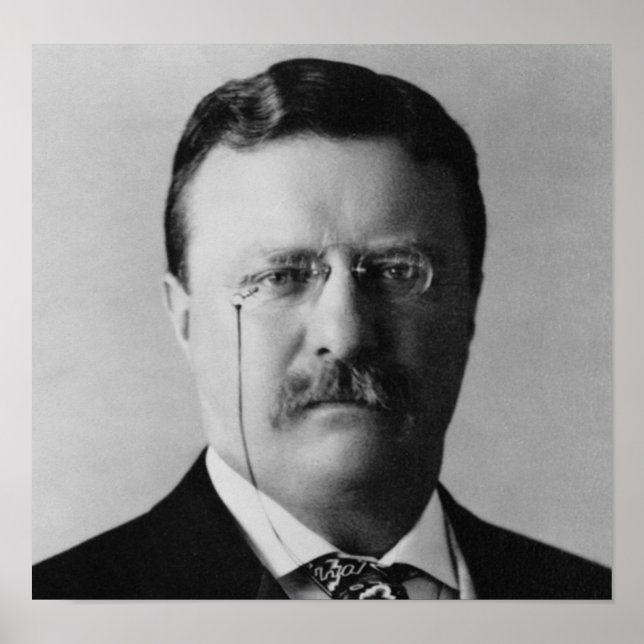 Theodore Roosevelt Poster (Front)