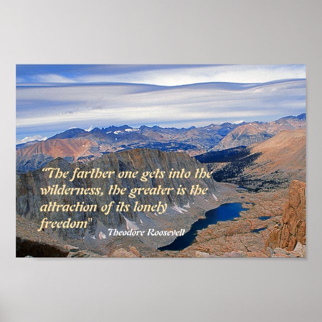 Theodore Roosevelt Quotation Poster (Front)
