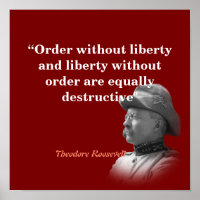 Theodore Roosevelt Quote On Order And Liberty