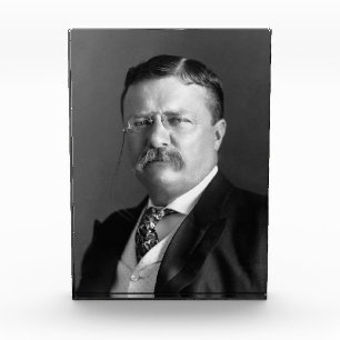 Theodore Roosevelt Teddy President Republican Photo Block