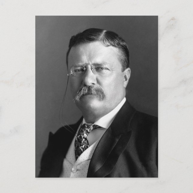 Theodore Roosevelt Teddy President Republican Postcard (Front)