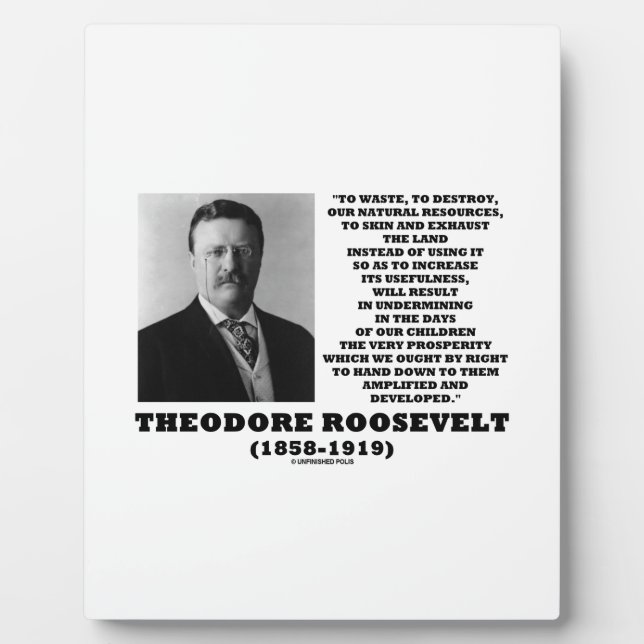 Theodore Roosevelt Waste Destroy Natural Resources Plaque (Front)