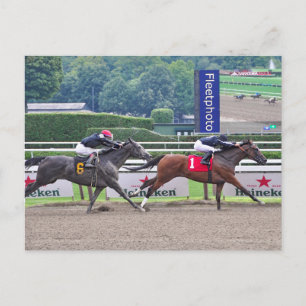 Theophilia beating Carrumba Postcard