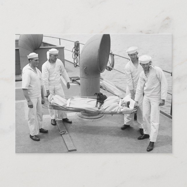 Therapy Dog, early 1900s Postcard (Front)