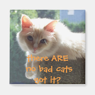 There Are No Bad Cats..Got it? Magnet