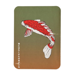 There are plenty of fish in the sea magnet
