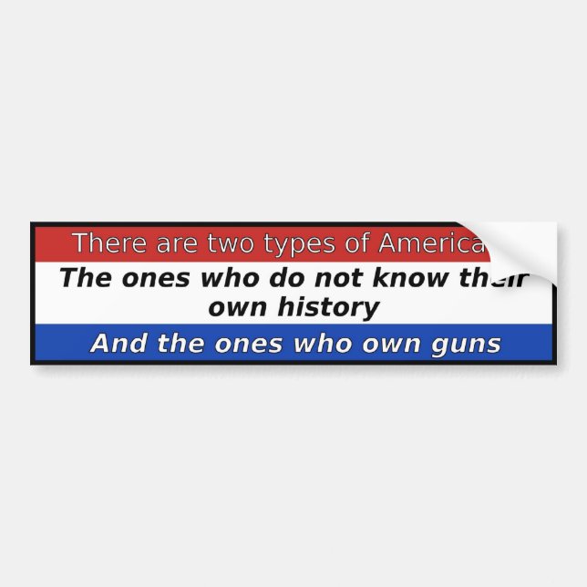 There Are Two Types Of Americans Bumper Sticker (Front)
