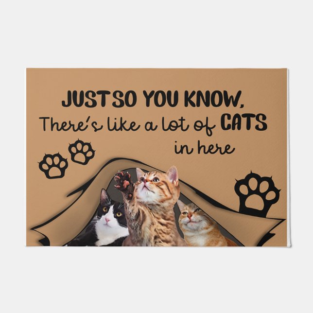 There Is A Lot Of Cats In Here, Indoor Mat (Front)