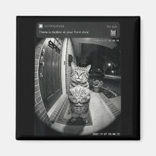 There is Motion at Front Door Funny Cat Meme Men Magnet