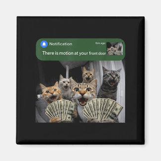 There is motion at front door funny cat motion mem magnet