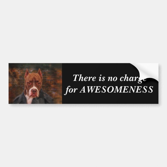 There is no charge for ... bumper sticker (Front)