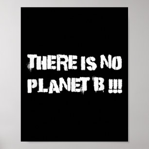 There Is No Planet B Climate Change Environmental  Poster