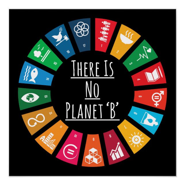 There Is No Planet B Climate Change Global Warming Poster (Front)