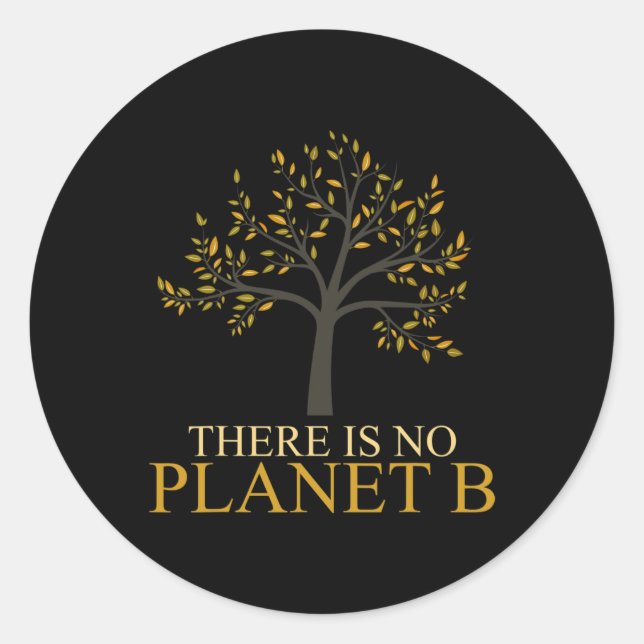 There Is No Planet B Earth Day 2  Classic Round Sticker (Front)