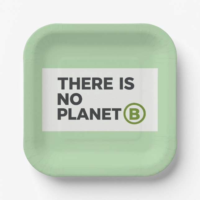 There Is No Planet B Environmentalist  Paper Plate (Front)
