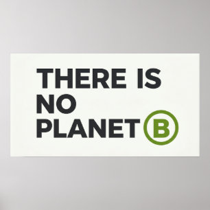 There Is No Planet B Environmentalist Poster