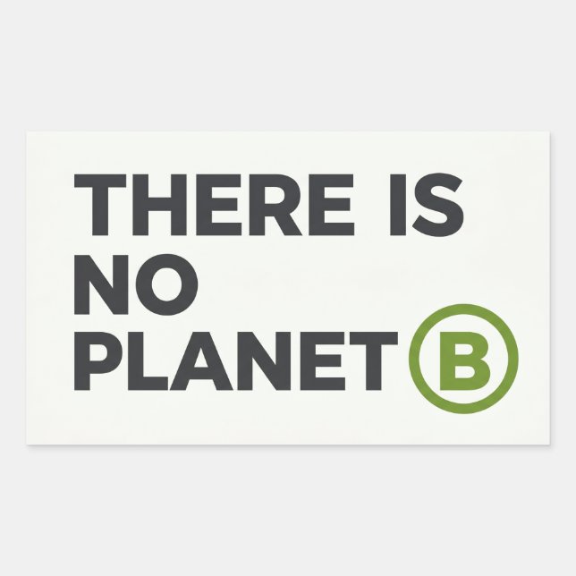 There Is No Planet B Environmentalist  Sticker (Front)