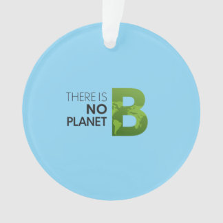There is No Planet B – Green Earth Typography Ornament