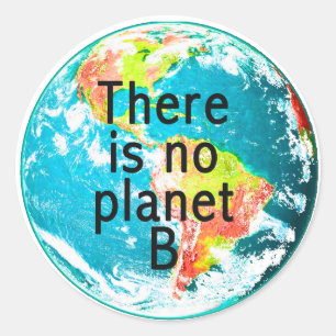 There is No Planet B sticker