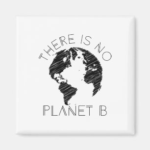 There Is No Planet B World Against Glol Warming Magnet