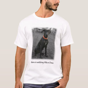 There is nothing like a Dane T-Shirt