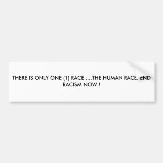 THERE IS ONLY ONE (1) RACE.....THE HUMAN RACE. ... BUMPER STICKER