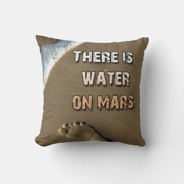 There Is Water On Mars Pillow! Throw Pillow (Front)
