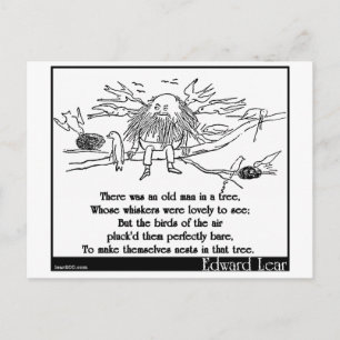 There was an old man in a tree postcard