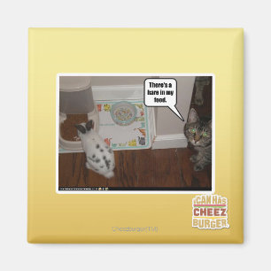 There's a hare in my food. magnet