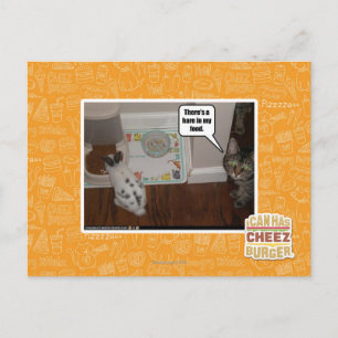 There's a hare in my food. postcard