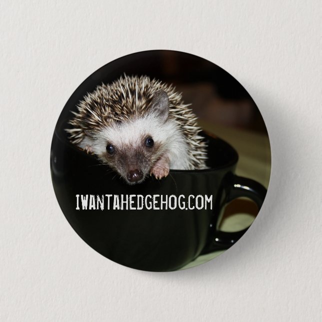 There's a hedgehog in my coffee 2 inch round button (Front)