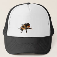 There's A Honey Bee On Your Hat!