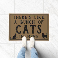 There's Like, A Bunch of Cats in Here | Funny