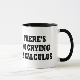 THERE'S NO CRYING IN CALCULUS MUG