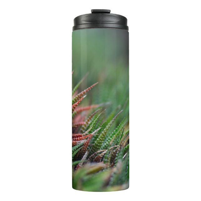 Thermal Tumbler (Front)