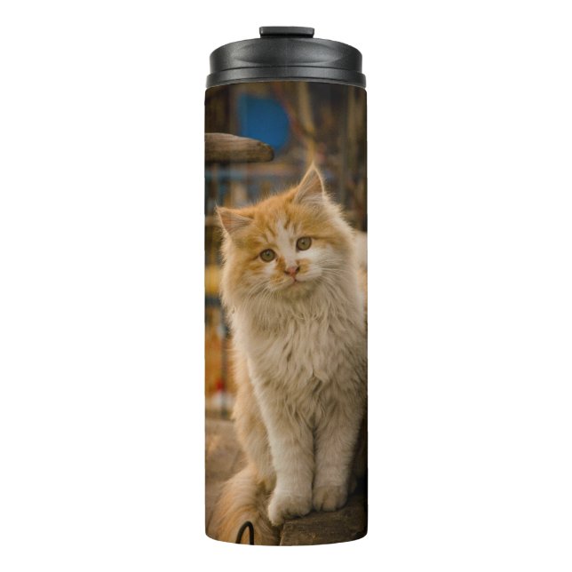 Thermal Tumbler With Cute Cat Design (Front)