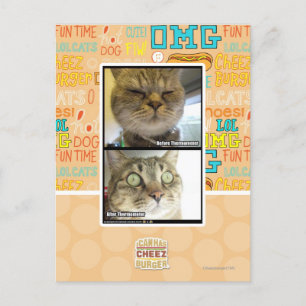 Thermometer Postcard